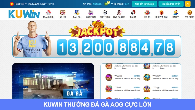 Mức thưởng cược đá gà AOG rất cao