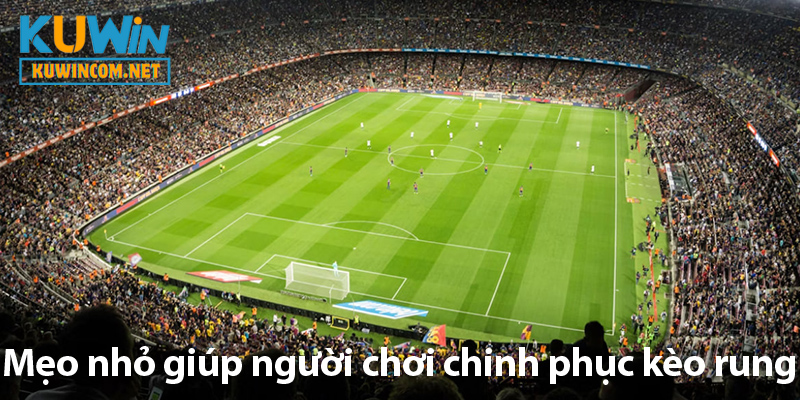 Kèo rung – Khám phá bí quyết và chiến thuật chinh phục keo rung 2025